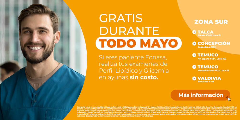 Mobile - Zona Sur